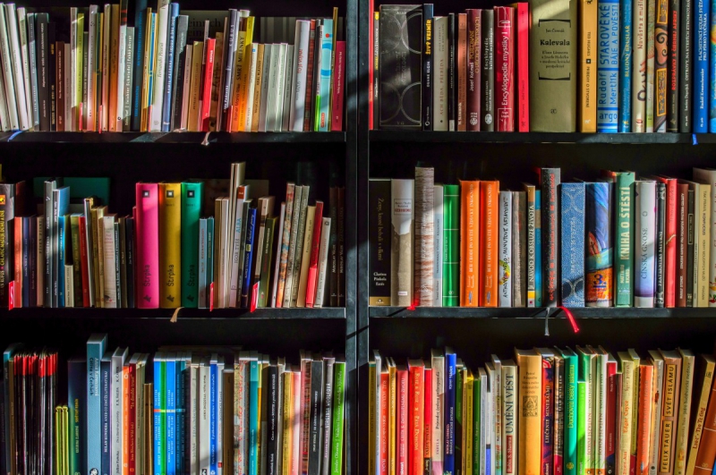 boutique-GONFARON-min_books_bookstore_book_reading_shop_writer_sale_books_read-822866
